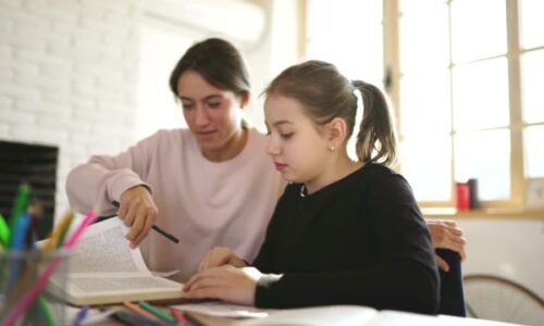 The Top 4 Reasons Why Home Tutors Are So Popular