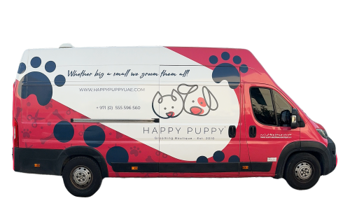 What To Expect From Pet Mobile Grooming Services