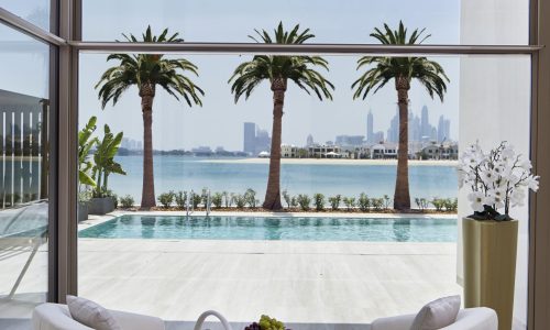 The Best Indoor Plants For Low-Light Rooms